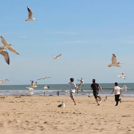 Apartament Confortable Pour 3 A Jean De Monts, Proche - Fr-1-323-459 *